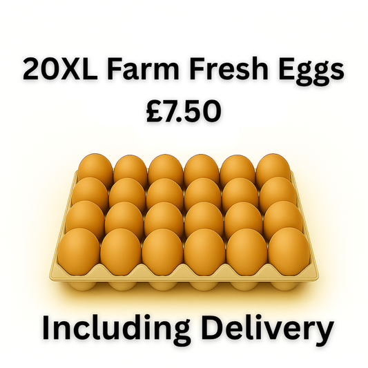 20 XL Farm Fresh Eggs