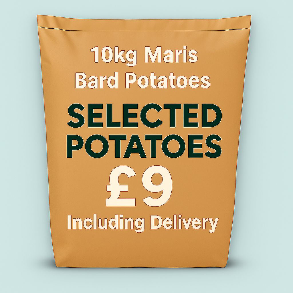 10KG Maris Bard Potatoes