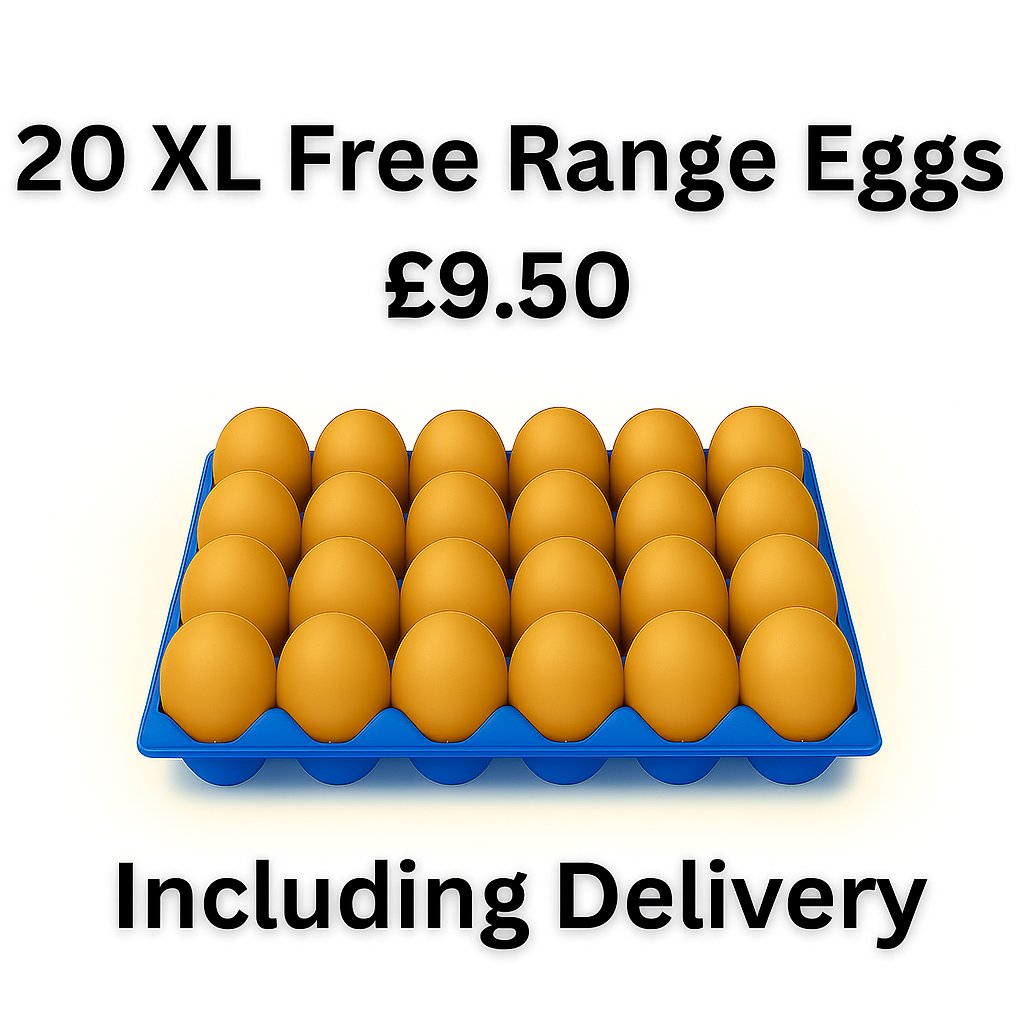 20 XL Free Range Eggs