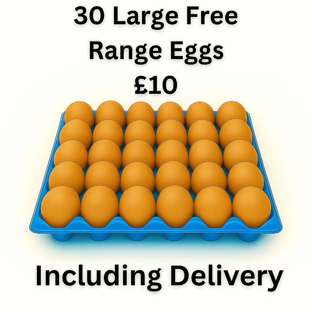 30 Large Free Range Eggs