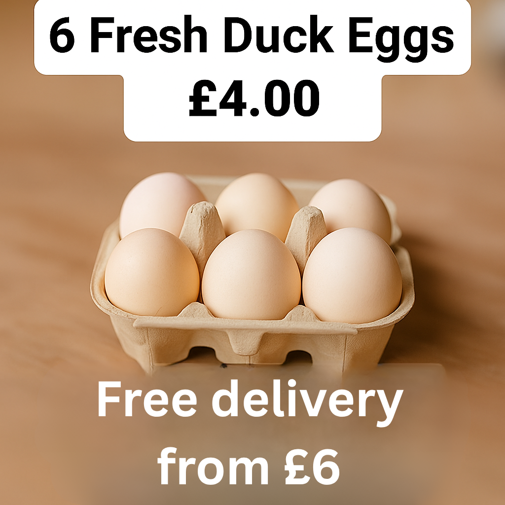 6 Fresh Duck Eggs