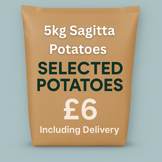 5KG Sagitta Potatoes