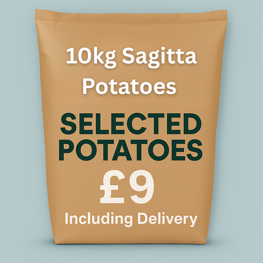 10KG Sagitta Potatoes