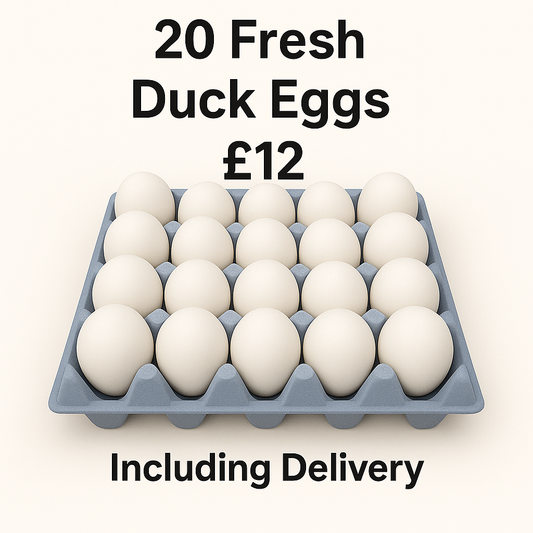 20 Fresh Duck Eggs