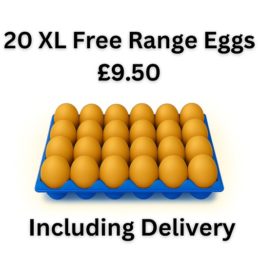 20 XL Free Range Eggs